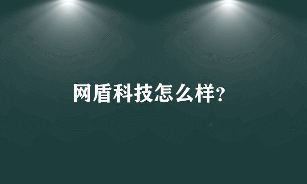 网盾科技怎么样?